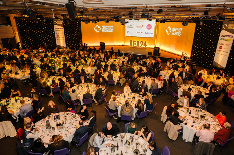 Association of Excellence Awards 2024